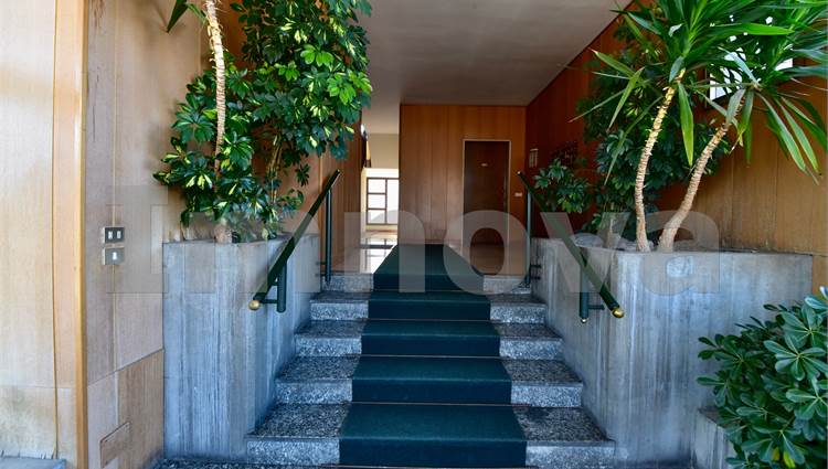 Ingresso