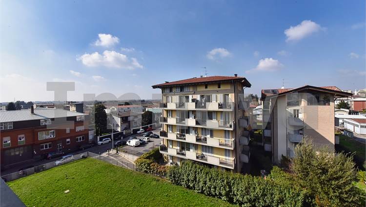 Vista